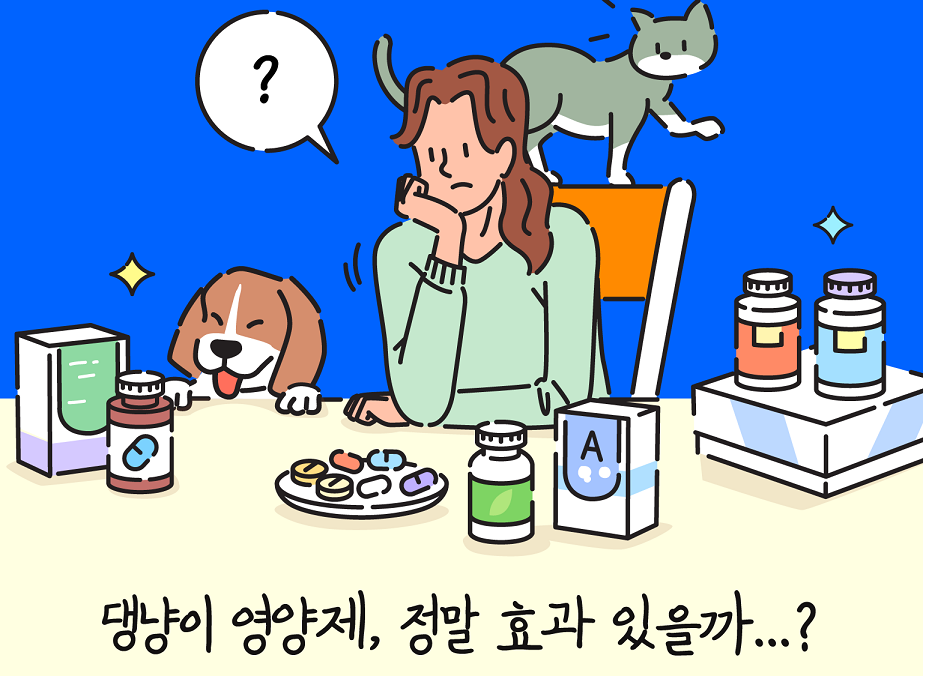 반려동물 영양제, 정말 효과 있을까? - 뉴스 썸네일 이미지