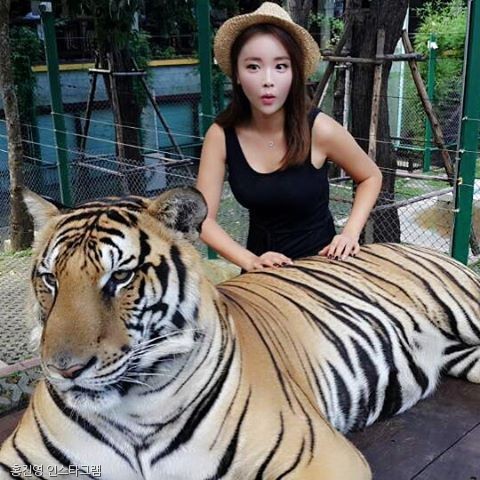 노트펫