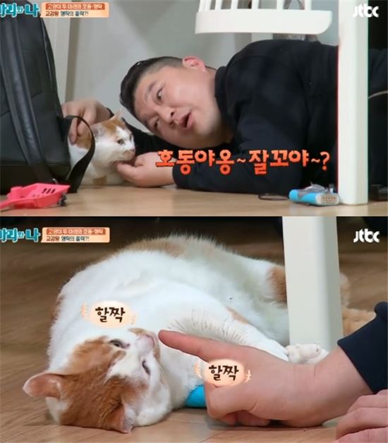 노트펫
