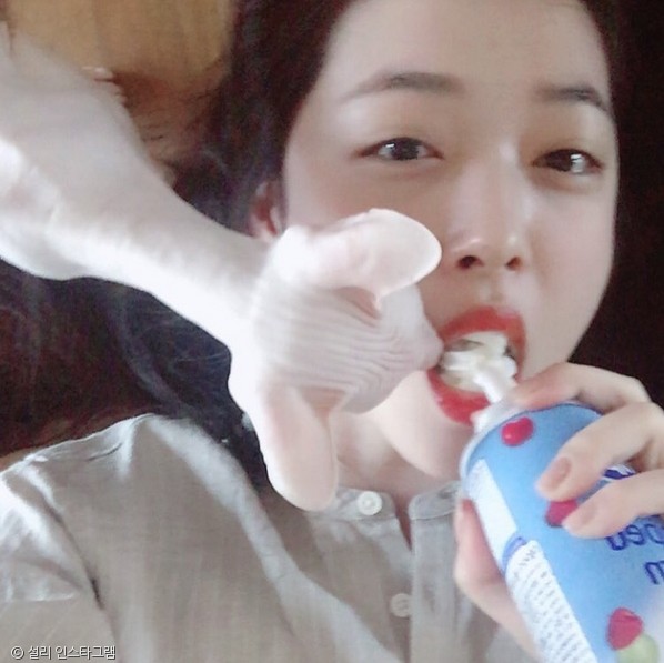 노트펫