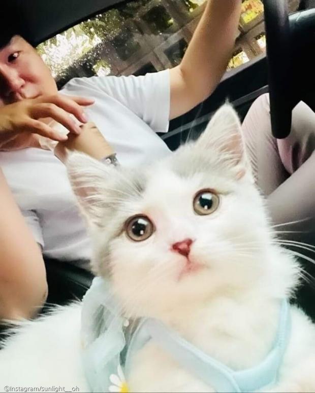 ⓒ노트펫