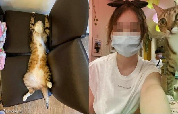 결국 프리프리 때문에 앞머리를 낸 집사.