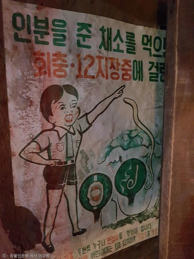 ⓒ노트펫