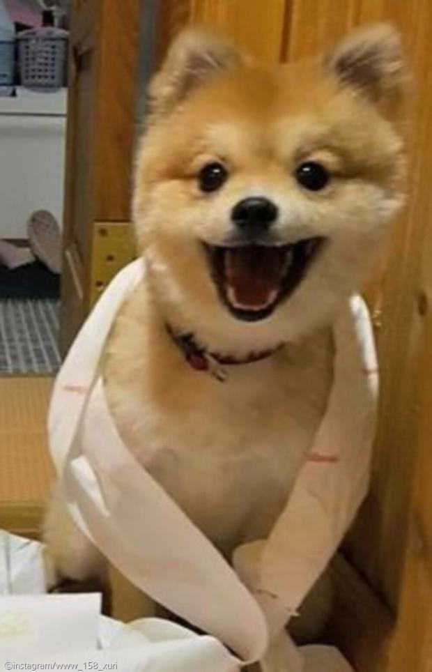 엄마 나 정말 신나게 놀았댕!