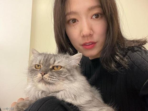 박신혜와 반려묘 '해리'