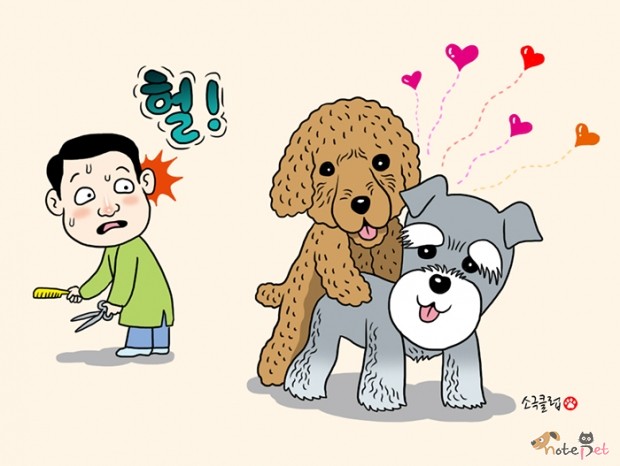 노트펫