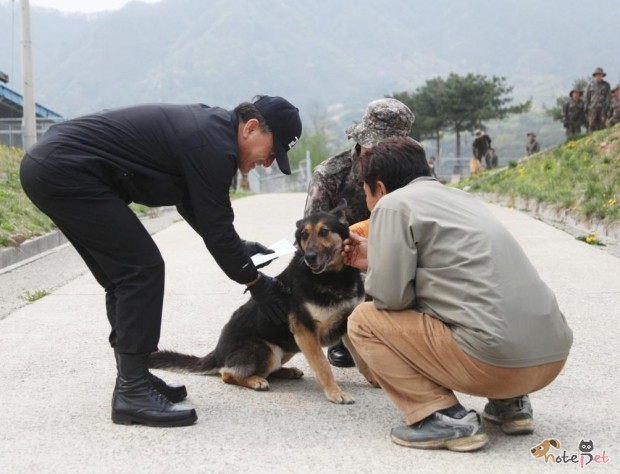 노트펫