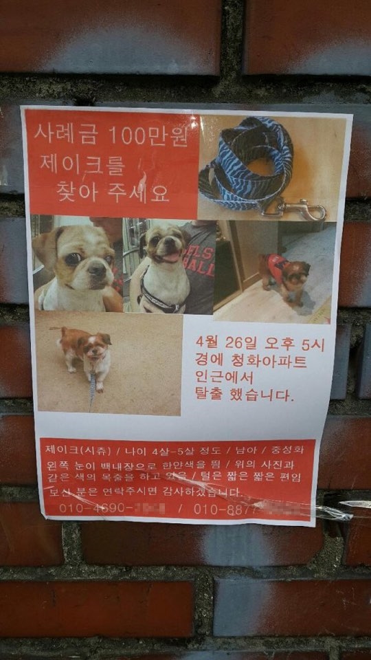 노트펫