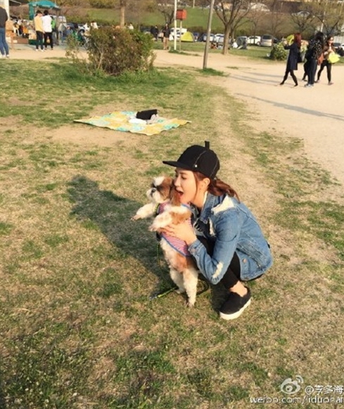노트펫