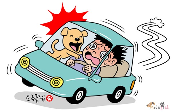 노트펫