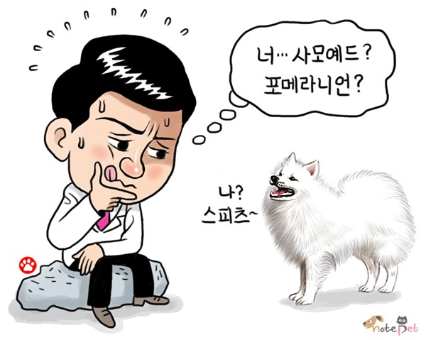 노트펫