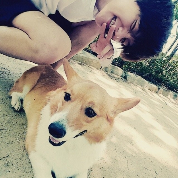 노트펫