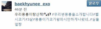 노트펫