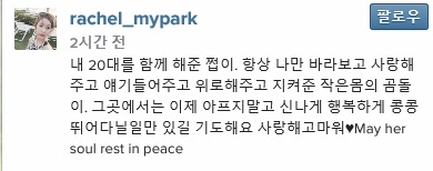 노트펫