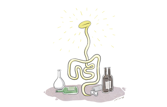 노트펫