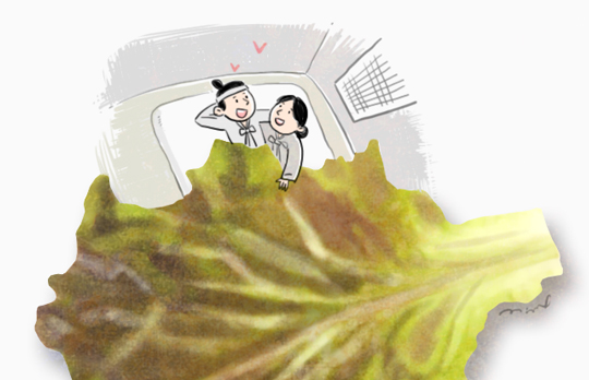노트펫