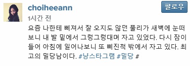 노트펫
