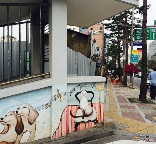 노트펫