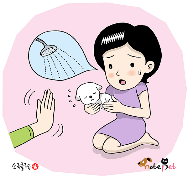 노트펫