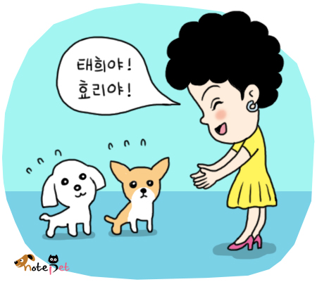 노트펫