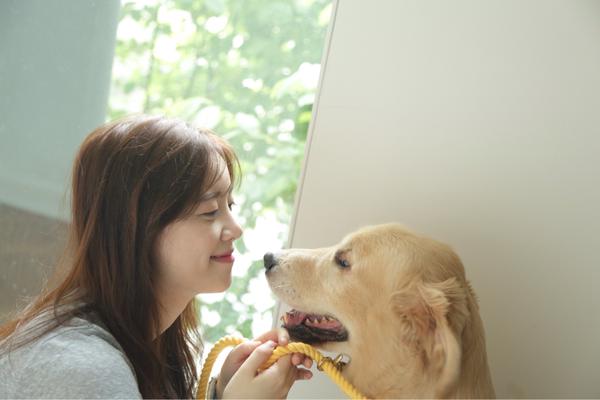 노트펫