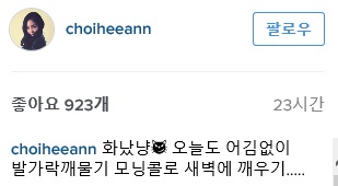 노트펫