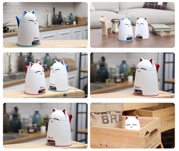 노트펫