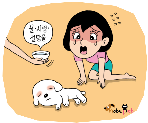 노트펫