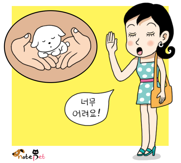노트펫