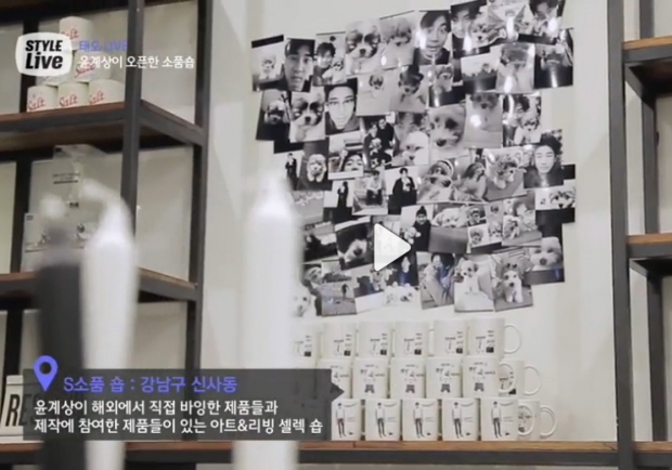 노트펫