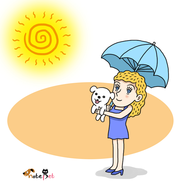 노트펫