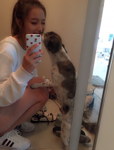 노트펫
