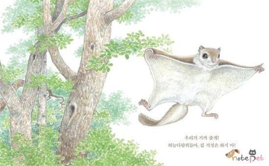 노트펫