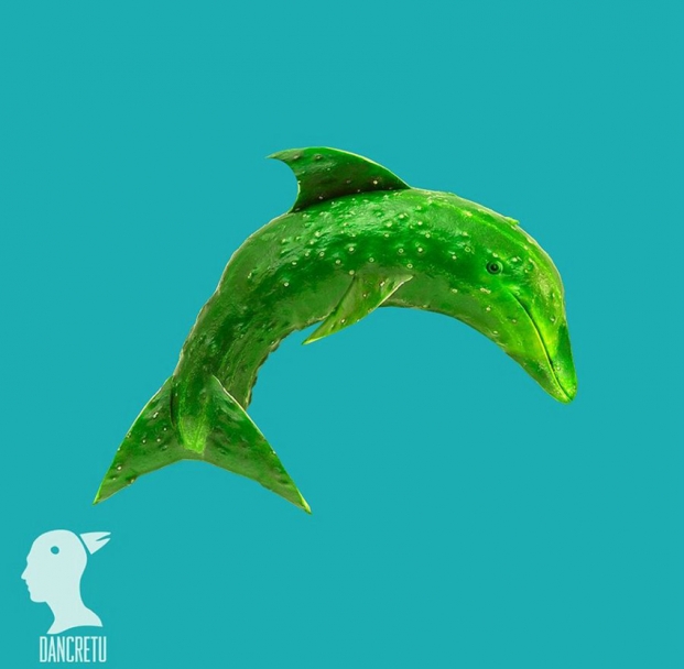 노트펫