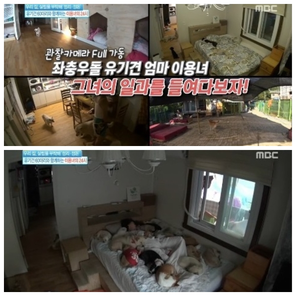 노트펫