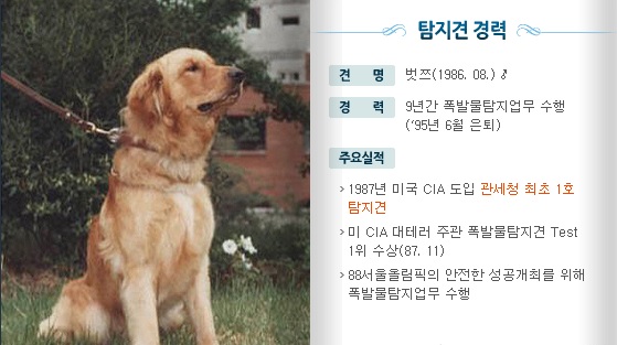 노트펫