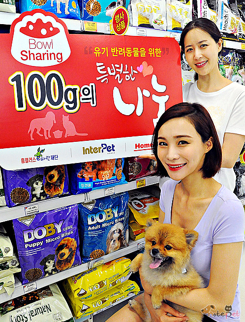 노트펫