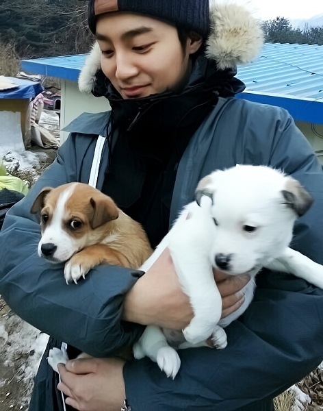 노트펫