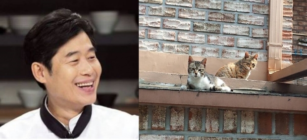 노트펫