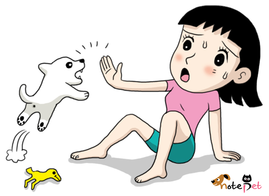 노트펫