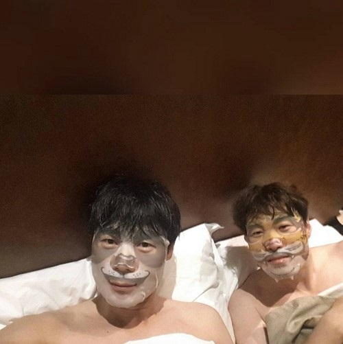 노트펫