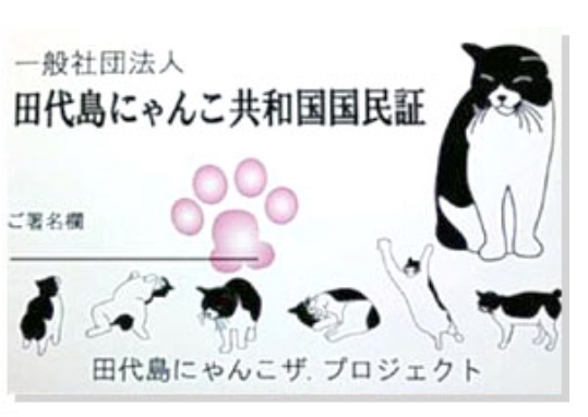 노트펫