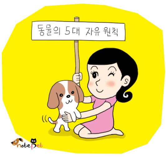 노트펫