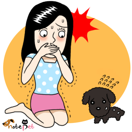 노트펫