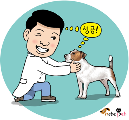 노트펫
