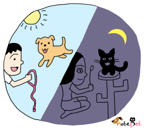 노트펫