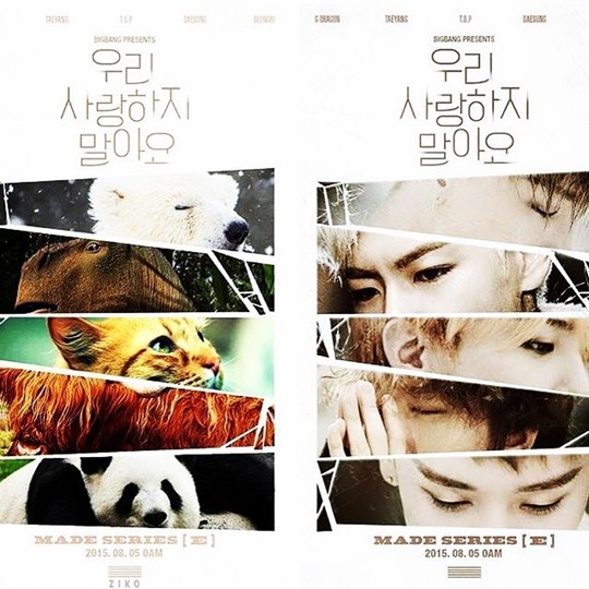 노트펫