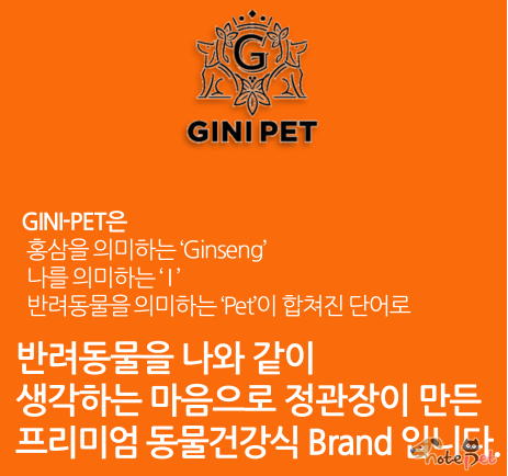 노트펫