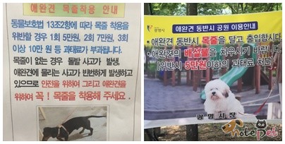 노트펫