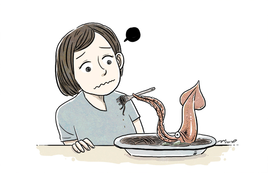 노트펫
